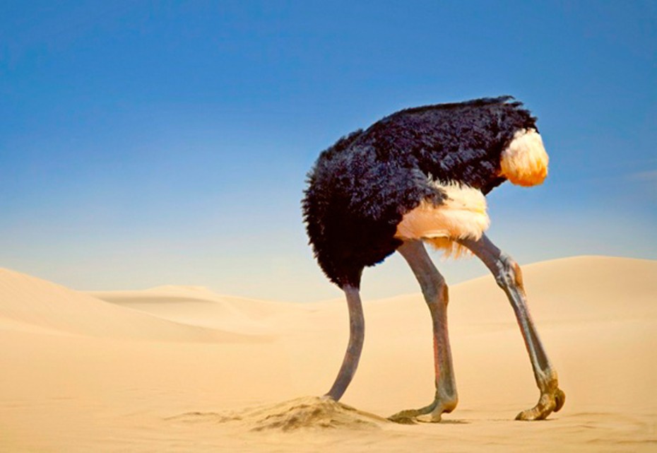 struts spring ostrich integration between announcing library ageing java enterprise developers